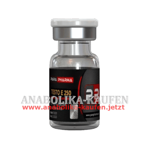 Testo E 250 (PARA PHARMA)