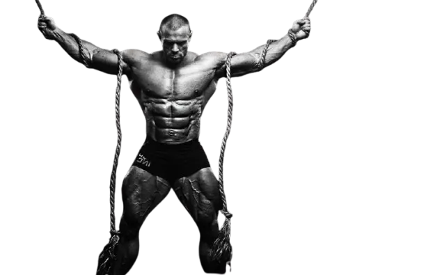 Bodybuilding Newsletter Banner
